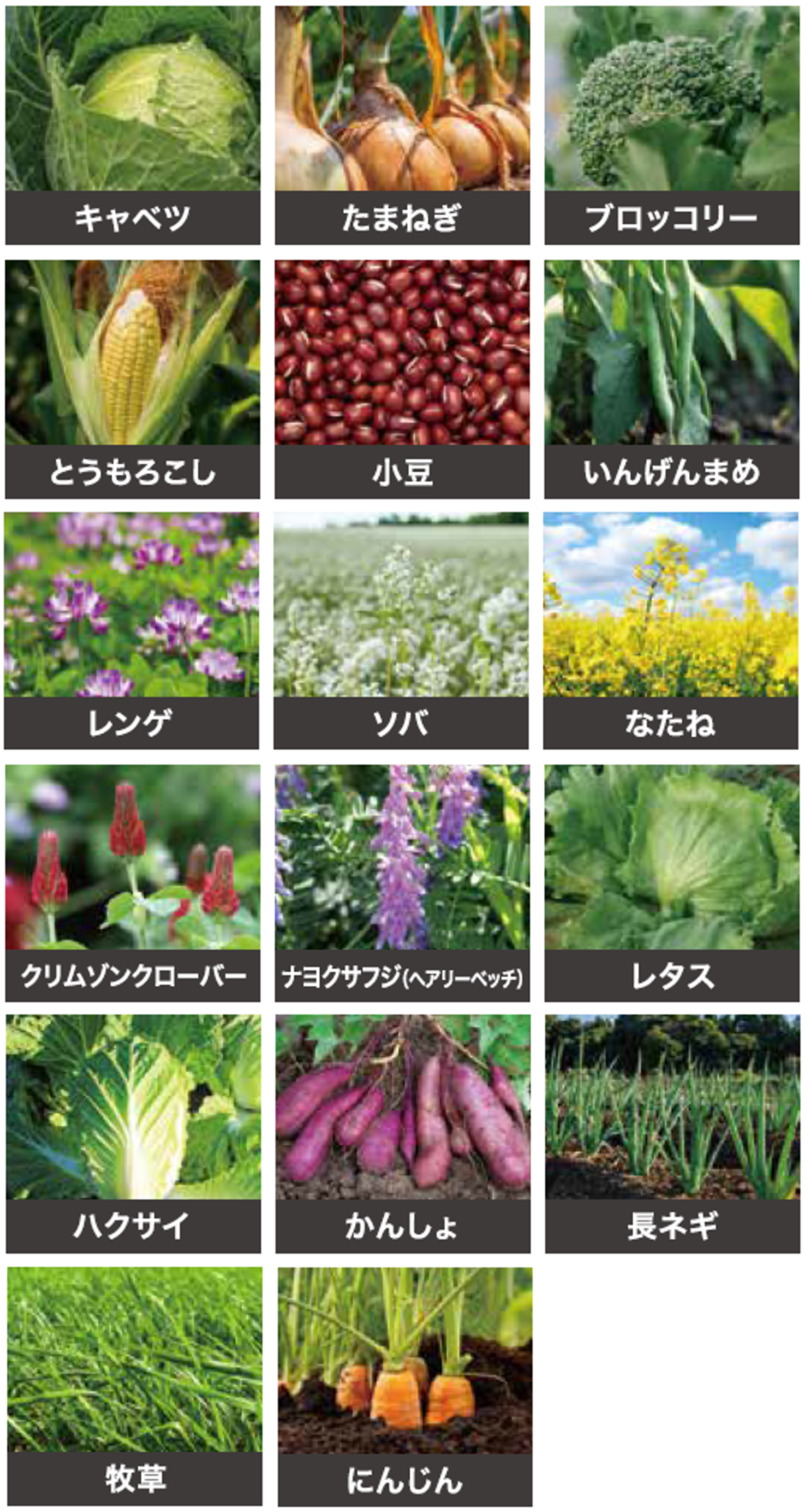 その他作物一覧_mobile