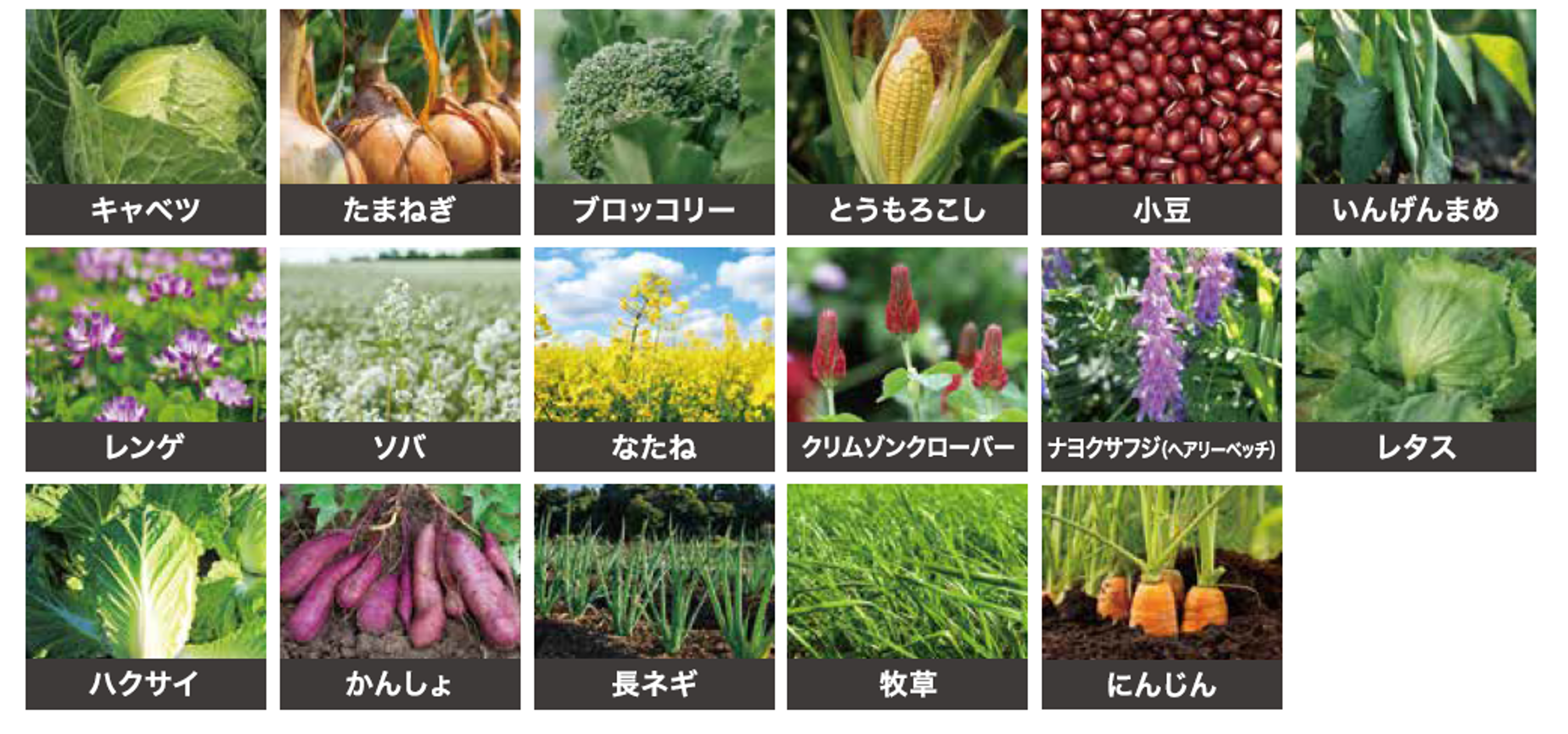 その他17作物一覧