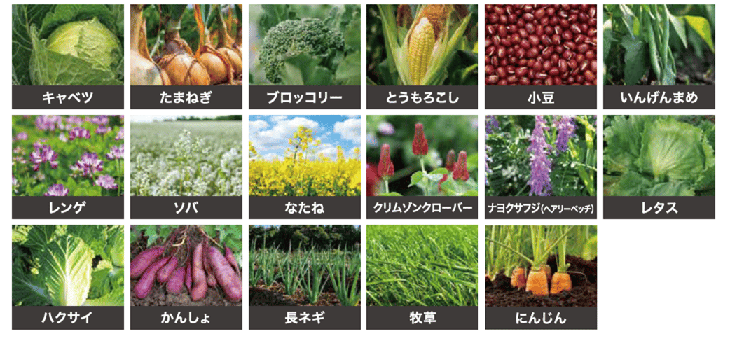 その他17作物一覧