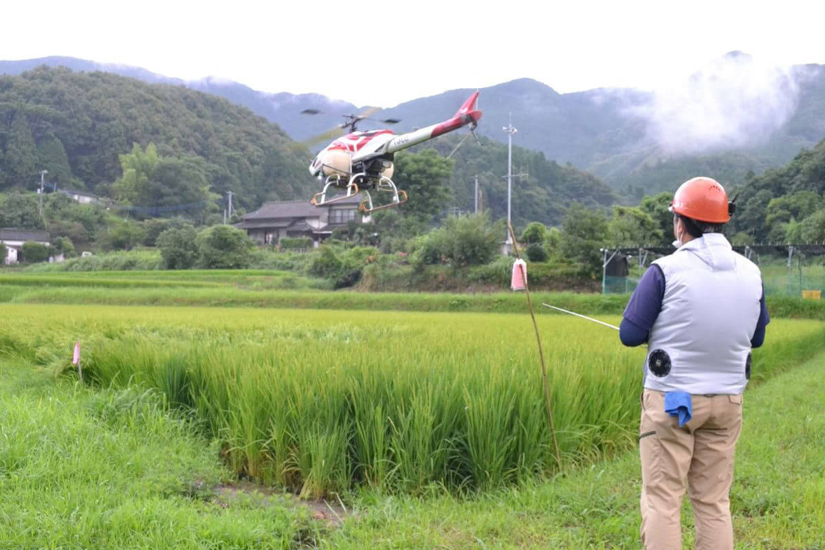 農家の労力軽減、防除時期の最適化等をめざしラジコンヘリによる水稲共同防除を始めた