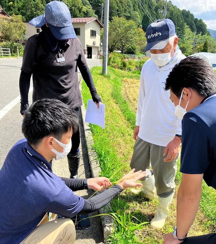 生育ステージ予測を活用して、追肥時期を見極める！