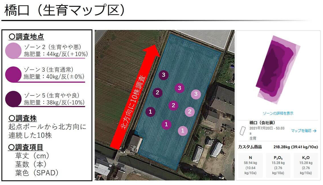 橋口（生育マップ区）