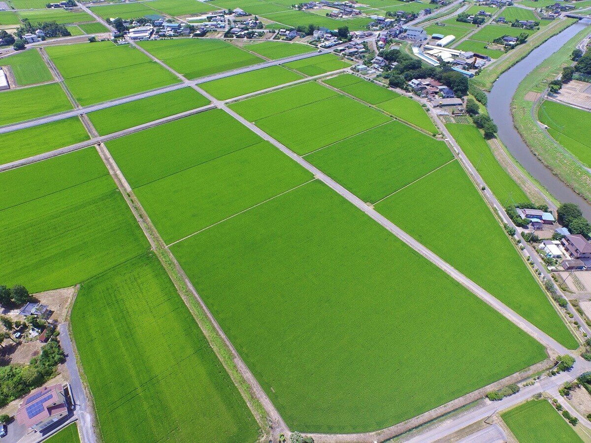 稲作の第一のポイントはきわめて質の良い苗を作ること