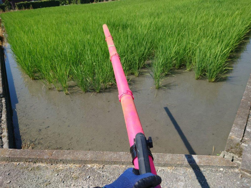 生育マップで確認した生育ムラを元に追肥を行う