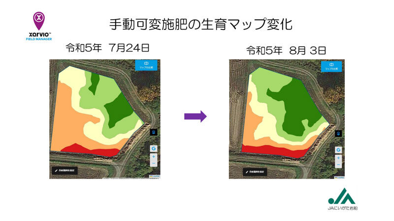 手動可変施肥の生育マップ変化