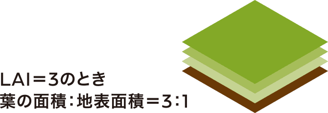 LAI＝3のとき、葉の面積：地表の面積＝3：1